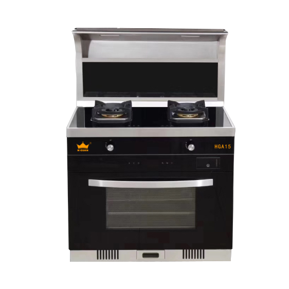集成(chéng)竈 HGA15
